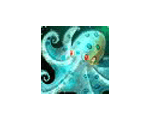 Reef Octopus 20