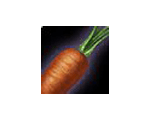 Juicycrunch Carrot 20