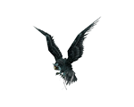 Hawk Owl(TBC Classic)