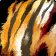 Tigerstrike Mantle