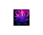 Null Lotus