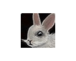 Tolai Hare