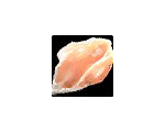 Clam Meat