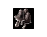 Ghost Mushroom(TBC Classic)*200