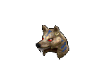 Wolf Druid Build